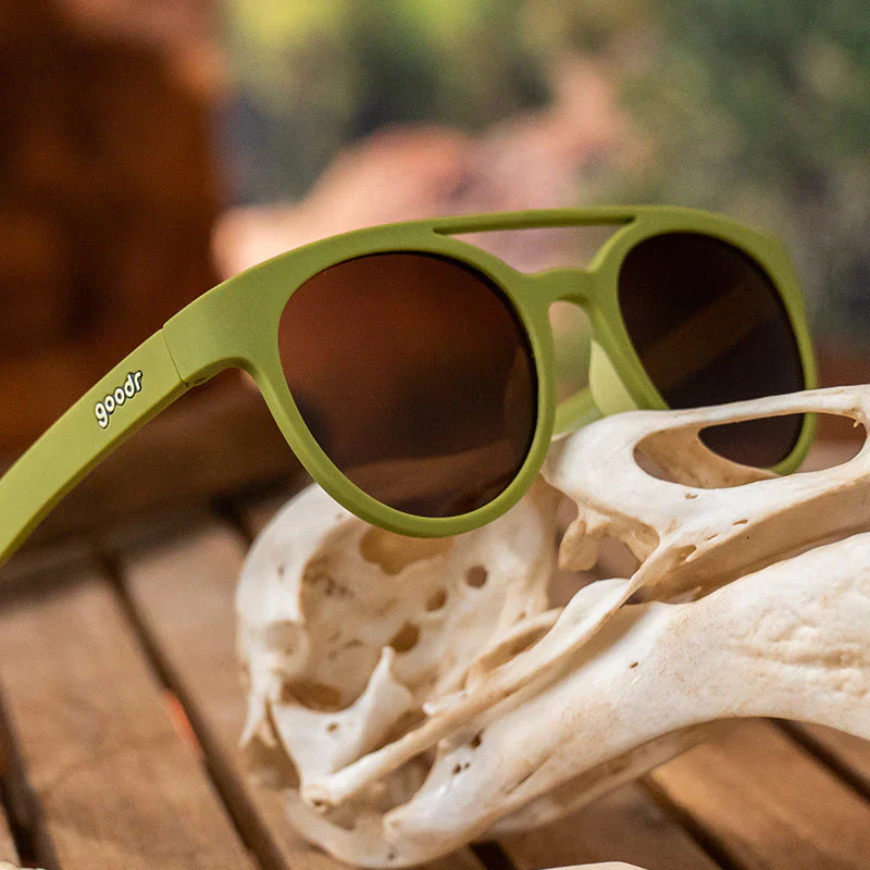 SALE: Fossil Finding Focals - Image 4